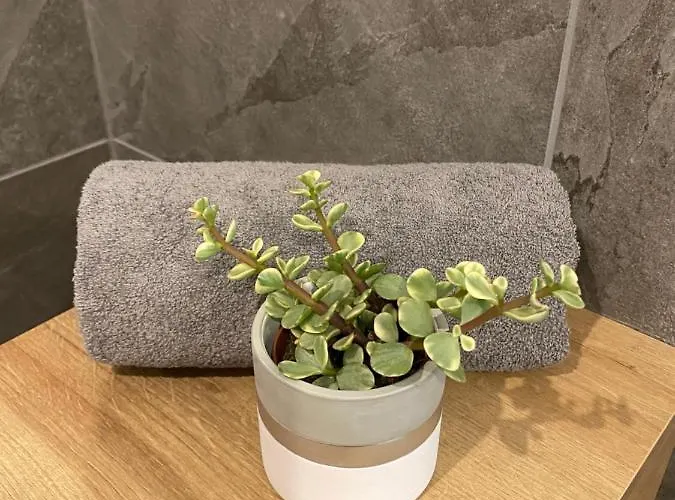 Appartamento Leonies *